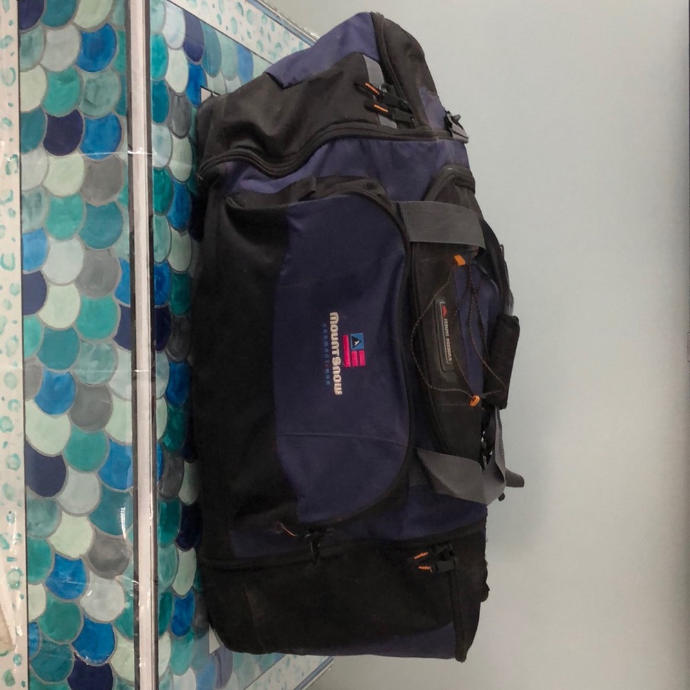 Ski bag
